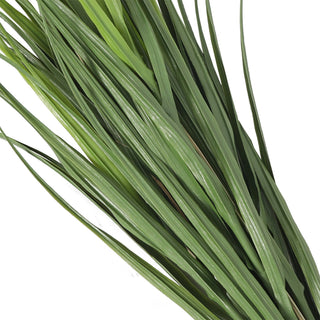 Artificial Reed Grass Deluxe 90CM Green UV Protected
