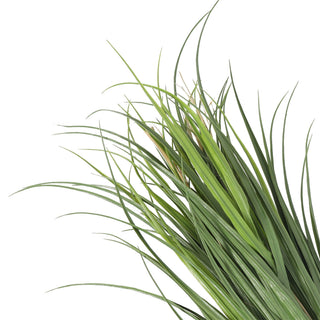 Artificial Reed Grass Deluxe 90CM Green UV Protected