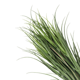 Artificial Reed Grass Deluxe 120CM Green UV Protected