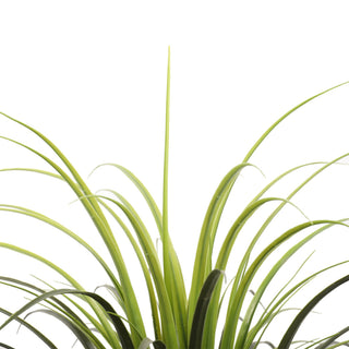 Artificial Yucca Nice Plants 85CM Indoor Outdoor