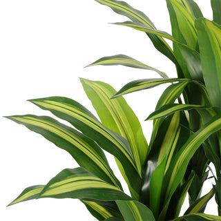 120CM Artificial Dracaena Fragrans Tree Indoor