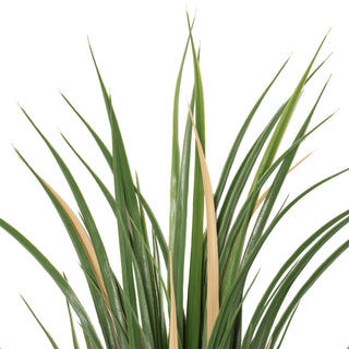 Super Premium Artificial Yucca 75CM Length UV