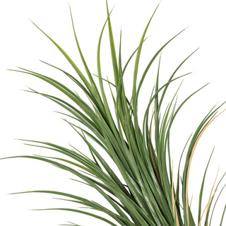Super Premium Artificial Yucca 90CM Length UV