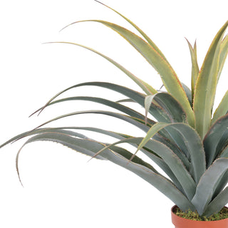 PE 95CM Artificial DRACAENA Plants