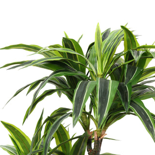 120CM Artificial Dracaena Reflexa Tree Indoor