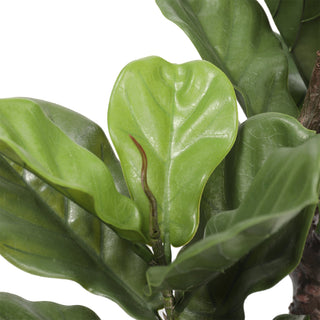Artificial Fiddle Leaf Fig Tree 110CM Indoor Outdoor