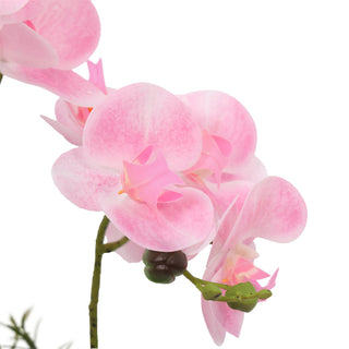 Nice Potted Artificial Orchids Bonsai 50CM Pink