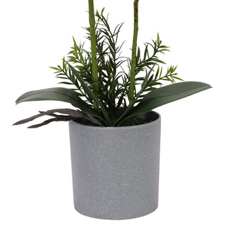 Nice Potted Artificial Orchids Bonsai 50CM Pink