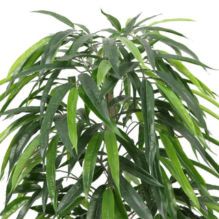 120CM Artificial Plastic Trunk Ficus irregularis Indoor