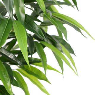 120CM Artificial Plastic Trunk Ficus irregularis Indoor