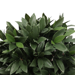 Œ¶ 40CM Artificial Bay Laurel Tree in Ball Outdoor