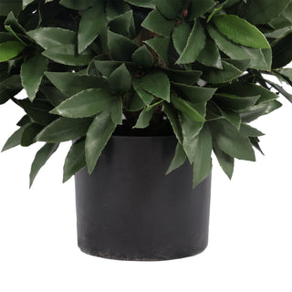 Œ¶ 40CM Artificial Bay Laurel Tree in Ball Outdoor