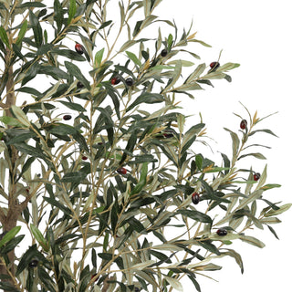 Olive Tree Disassembled 210CM Indoor KD