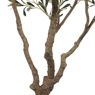 Olive Tree Disassembled 210CM Indoor KD