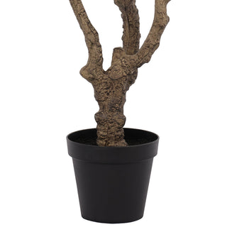 Olive Tree Disassembled 210CM Indoor KD