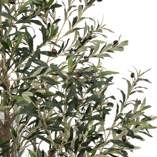 Olive Tree Disassembled 210CM Indoor KD
