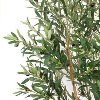 200CM Height Nearly Natural Artificial Ficus Tree