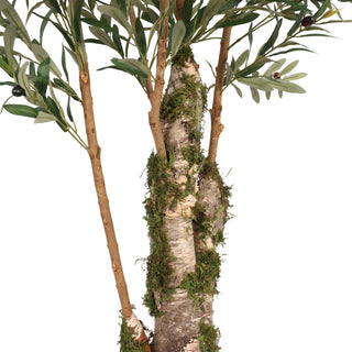 200CM Height Nearly Natural Artificial Ficus Tree