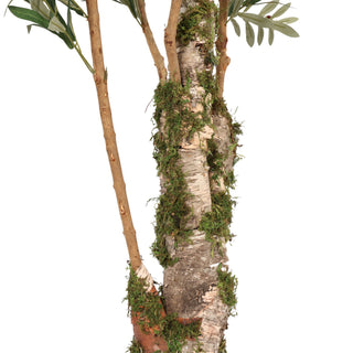 200CM Height Nearly Natural Artificial Ficus Tree