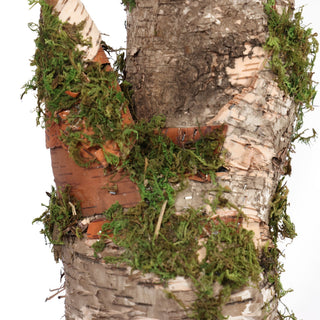 200CM Height Nearly Natural Artificial Ficus Tree