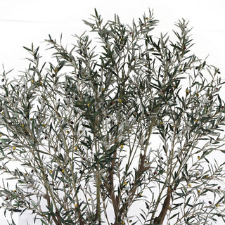 Artificial Olive Tree Olea Europaea 290CM KD