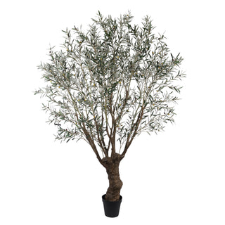 Artificial Olive Tree Olea Europaea 290CM KD