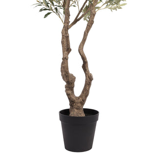 Olive Tree Disassembled 240CM Indoor KD