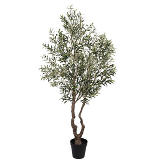 Olive Tree Disassembled 240CM Indoor KD