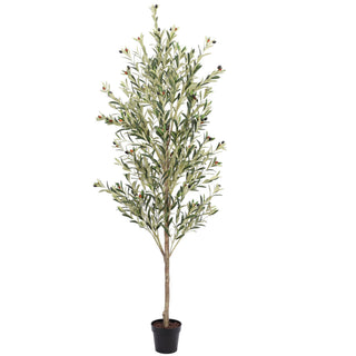 Premium Artificial Olive Tree 210CM Plastic Trunk Indoor