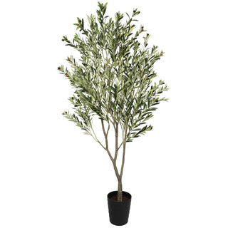 Premium Artificial Olive Tree 210CM Plastic Trunk Indoor