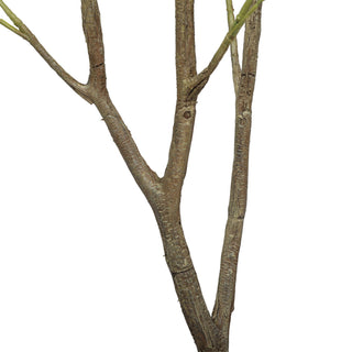 Premium Artificial Olive Tree 210CM Plastic Trunk Indoor