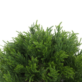 Fully PE Artificial Cypress Ball Tree with Pointed Cones 35CM Diameter Outdoor UV Protected