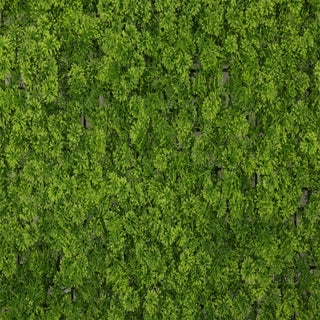 PE Moss Light Green 100x100CM Outdoor UV
