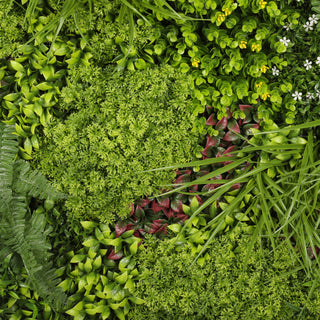 Lush Red 50x50CM Green Wall Panel Outdoor UV