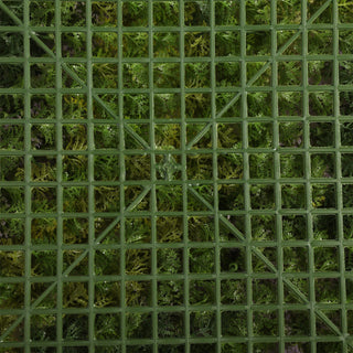 PE Moss Color 50x50CM Green Wall Panel Outdoor UV