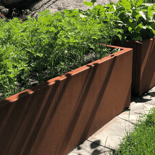 cortenstål plantekasser med frodige grønne planter