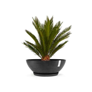Vienna 100 Dark Grey
